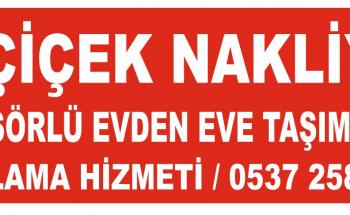 Van evden eve nakliyat ve taşımacılık