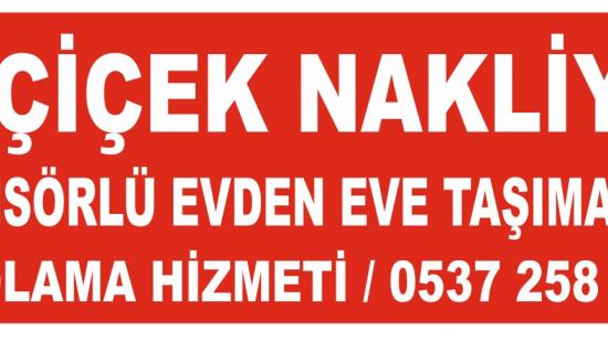 Van evden eve nakliyat ve taşımacılık